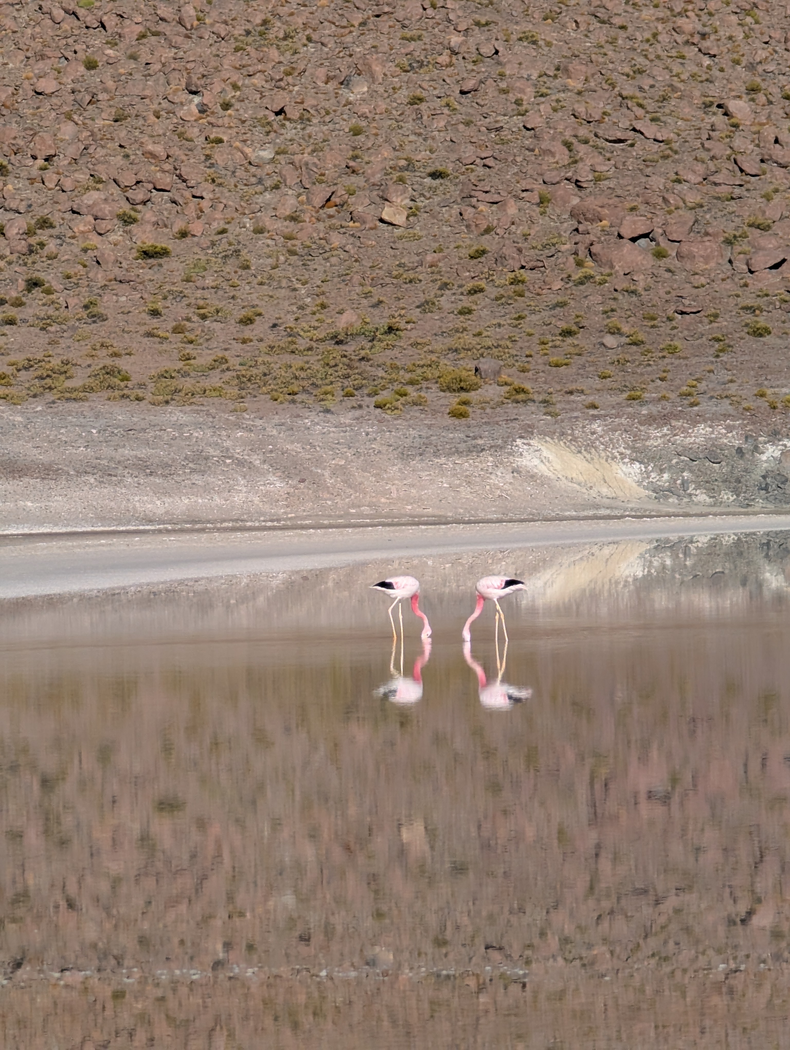 Bolivia Summary