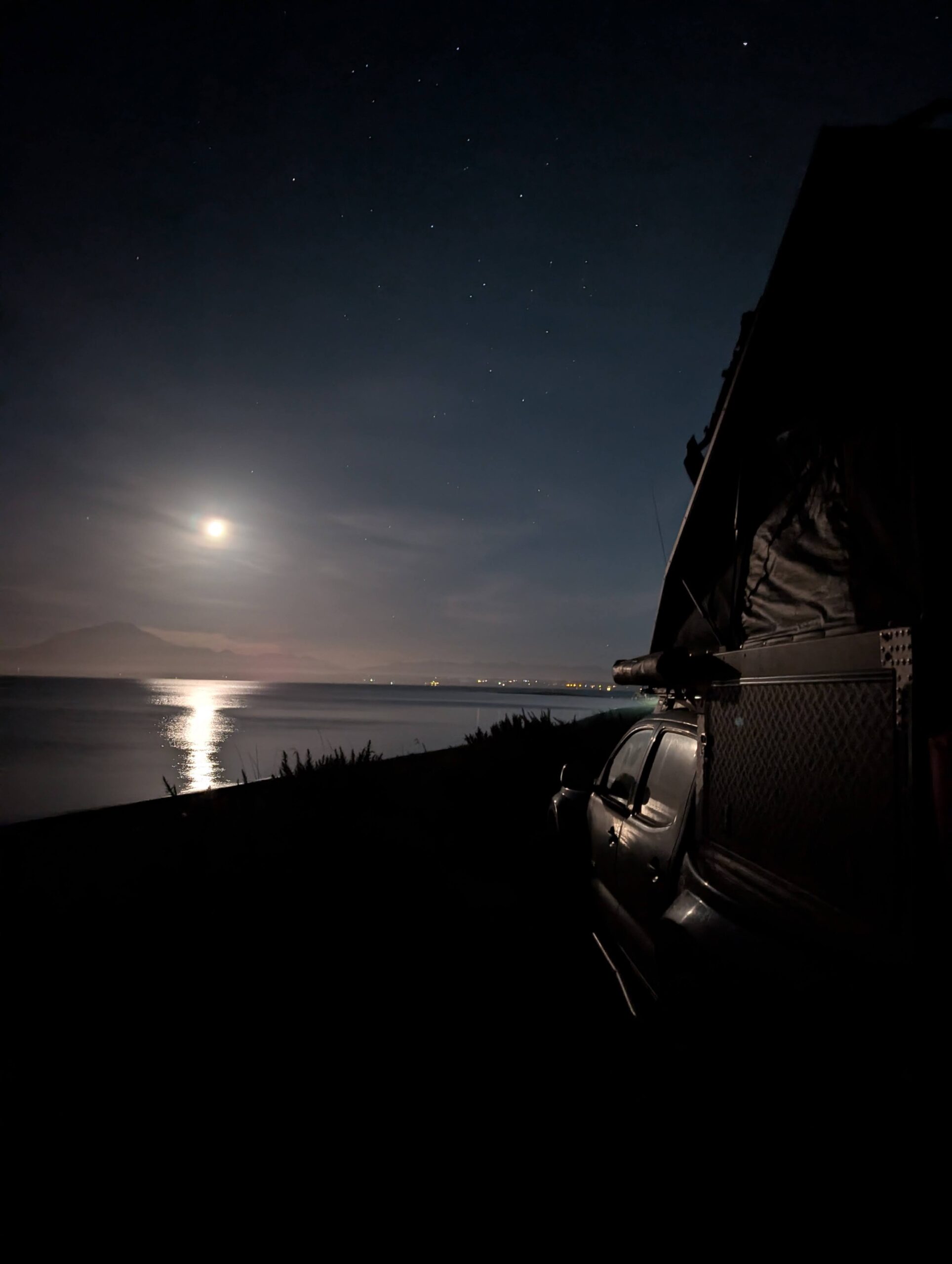 Day 498: March 18, 2025