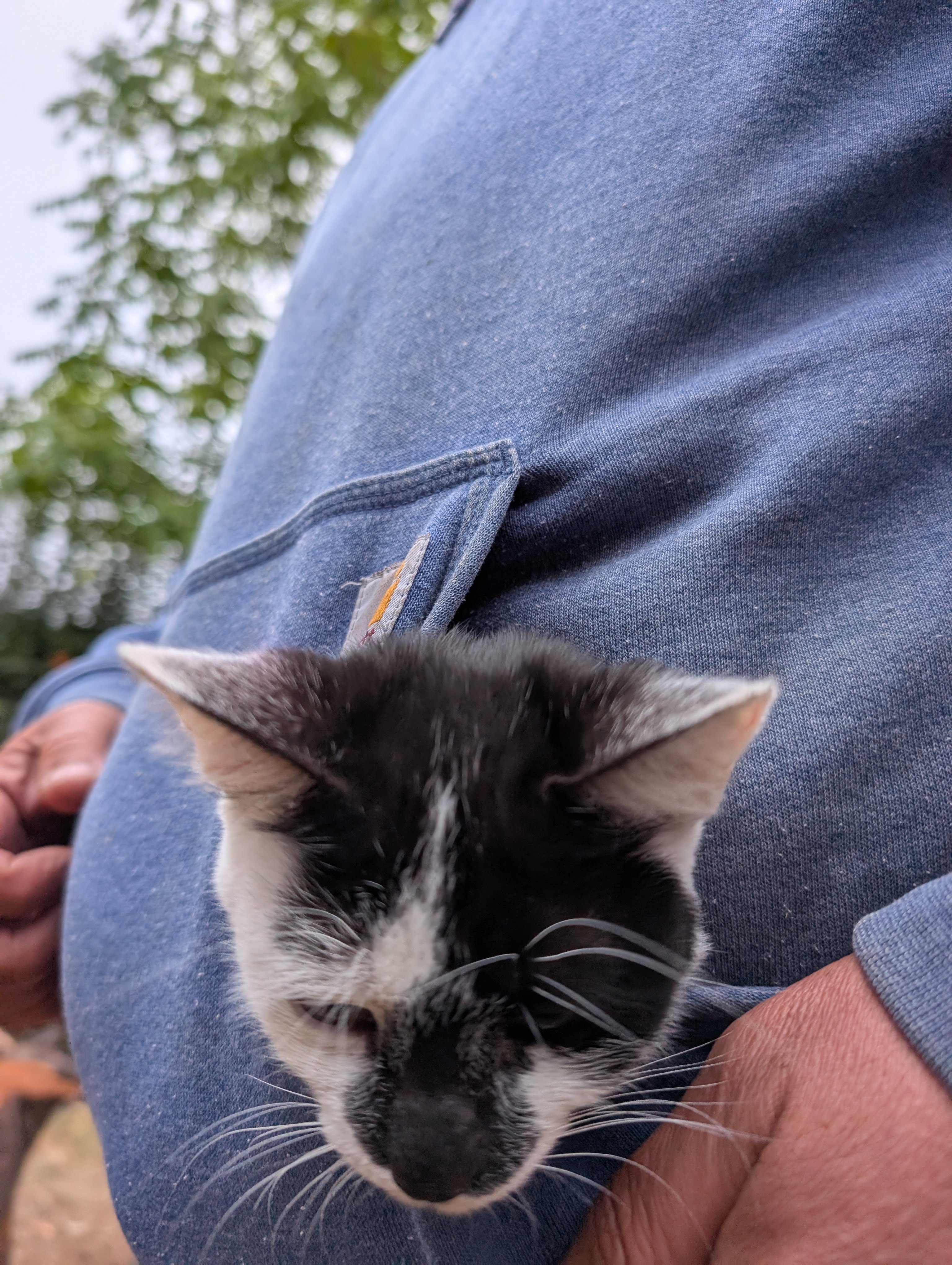 Day 505: March 25, 2025