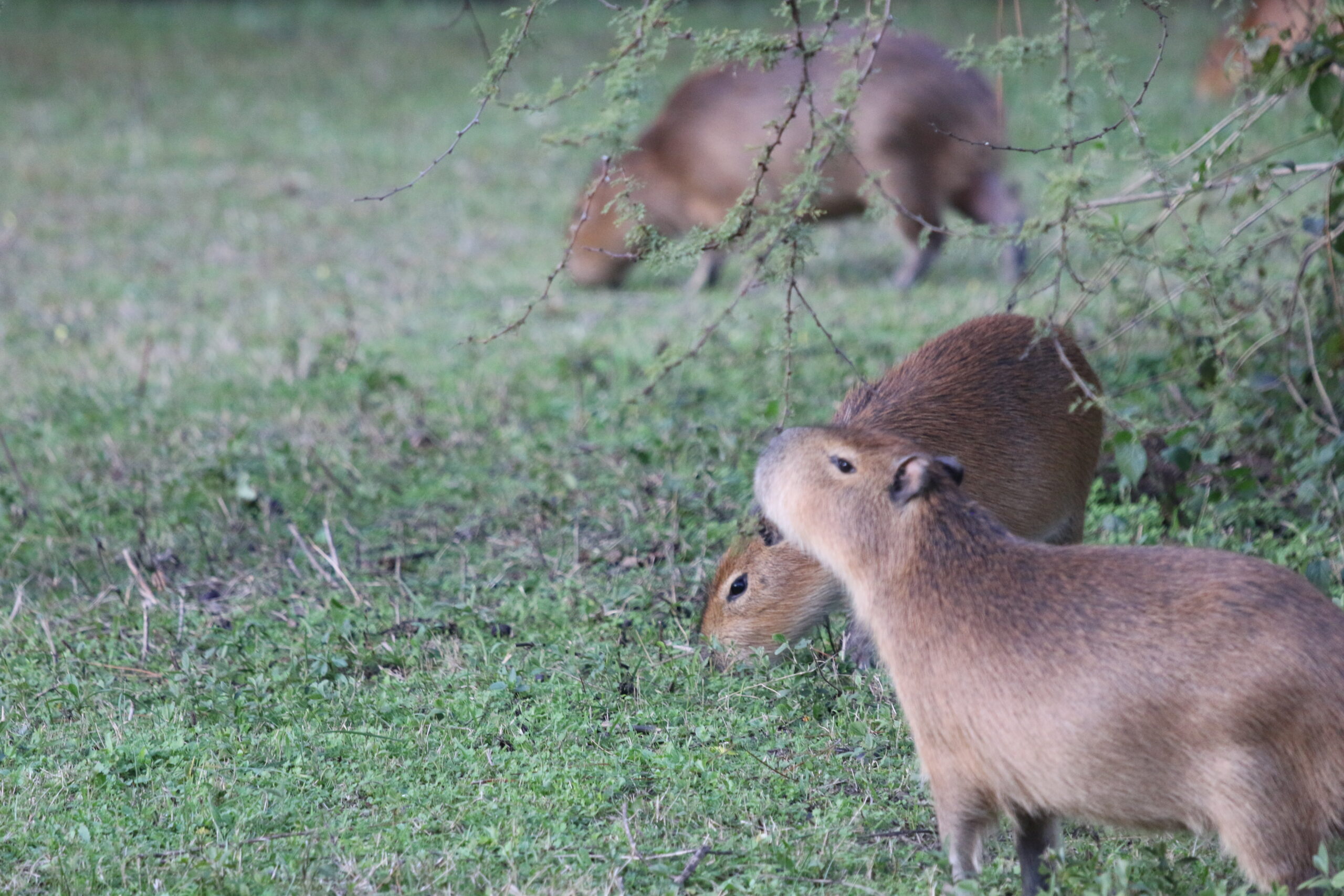 Day 625: July 22, 2025