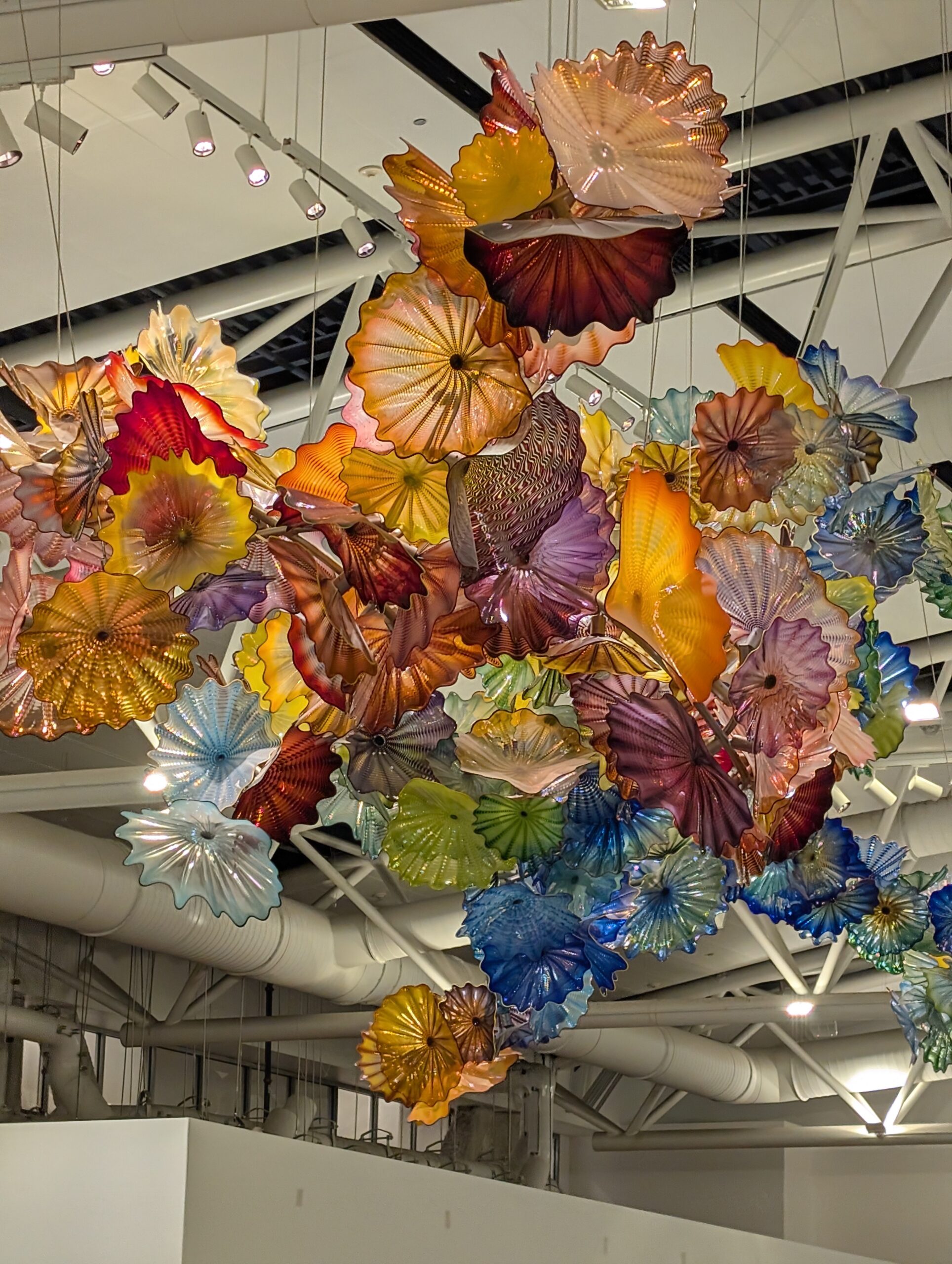 Day 596: June 24, 2025