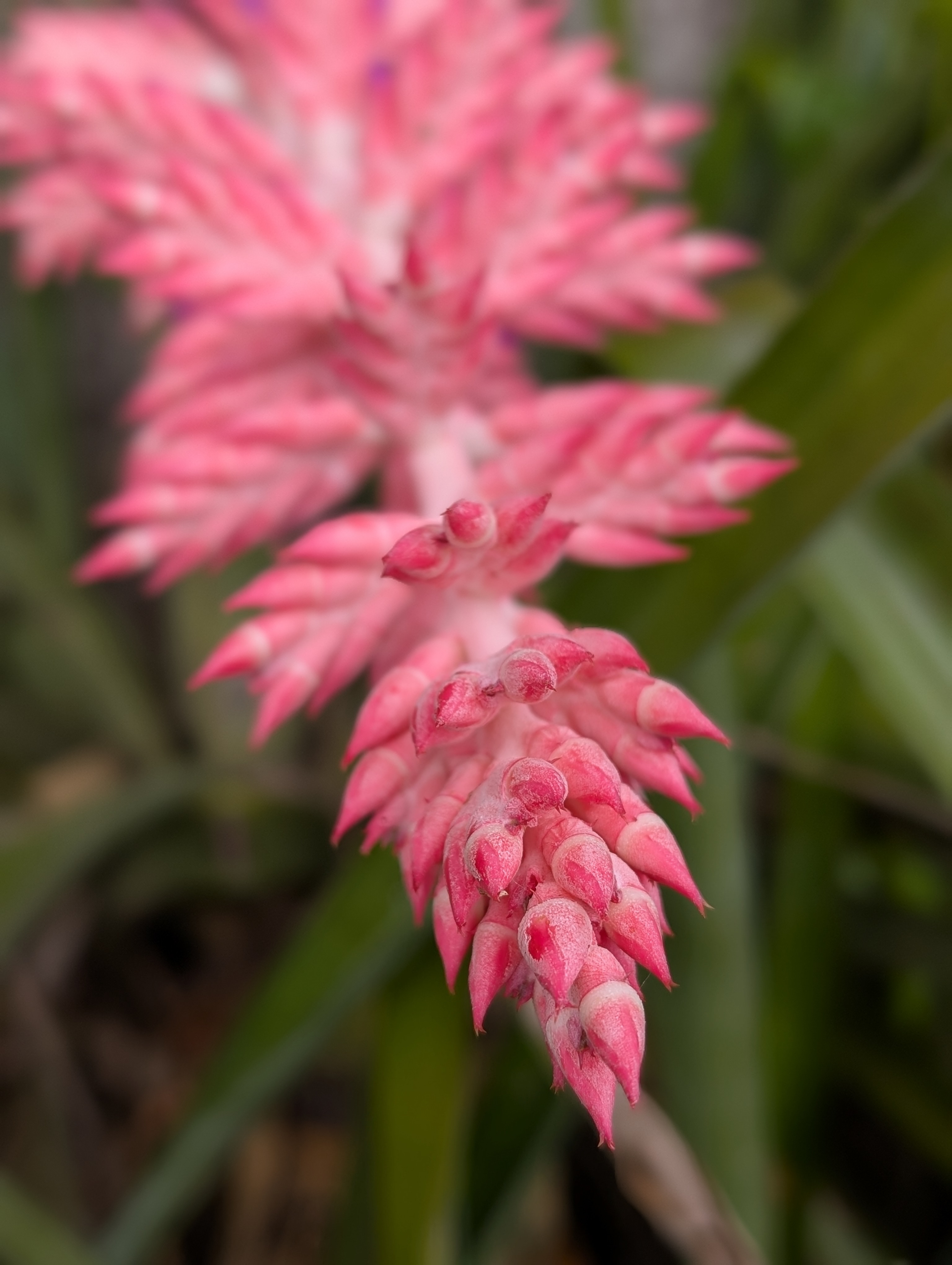 Day 632: July 29, 2025