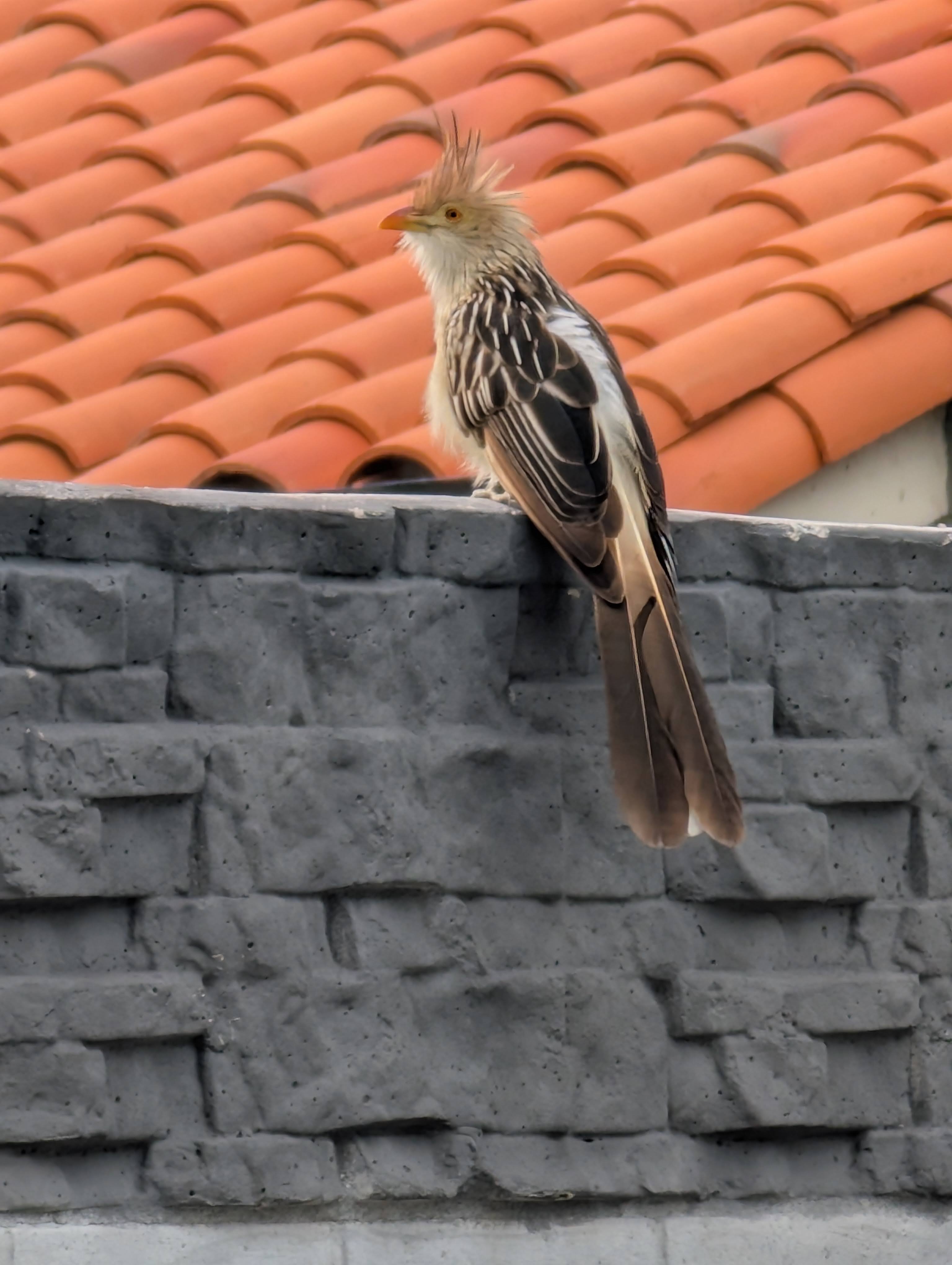 Day 646: August 12, 2025