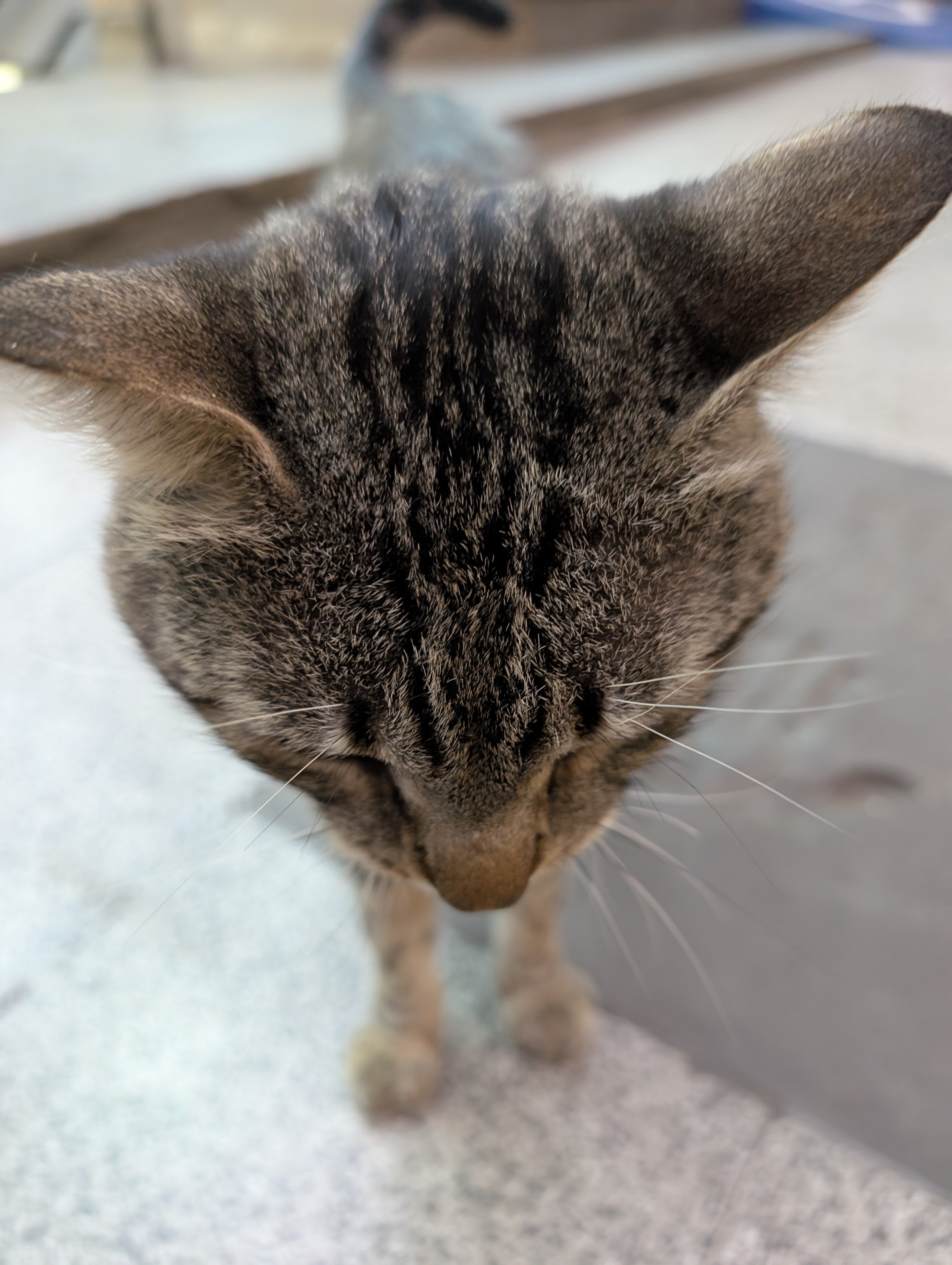 Day 653: August 19, 2025