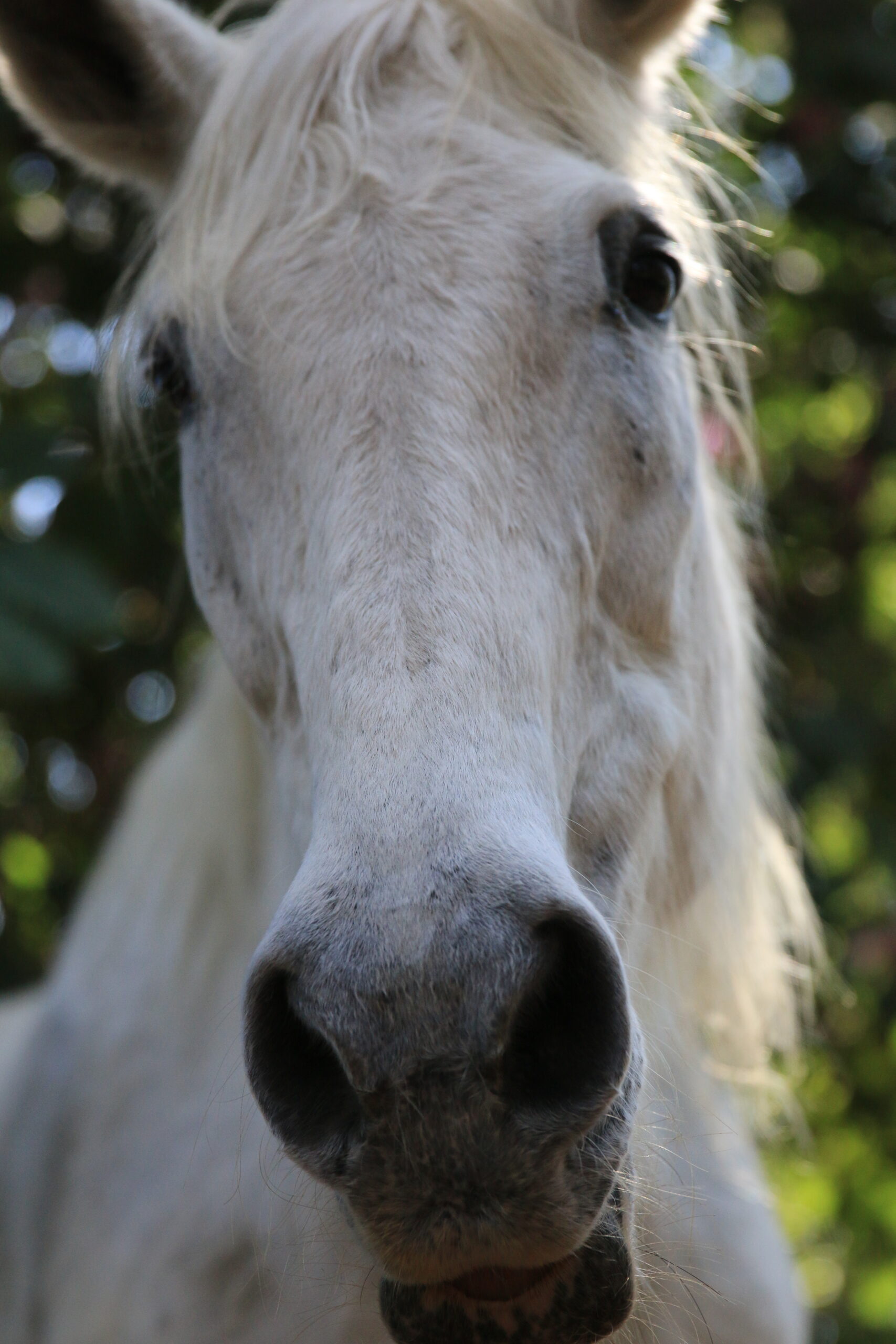 Day 660: August 26, 2025