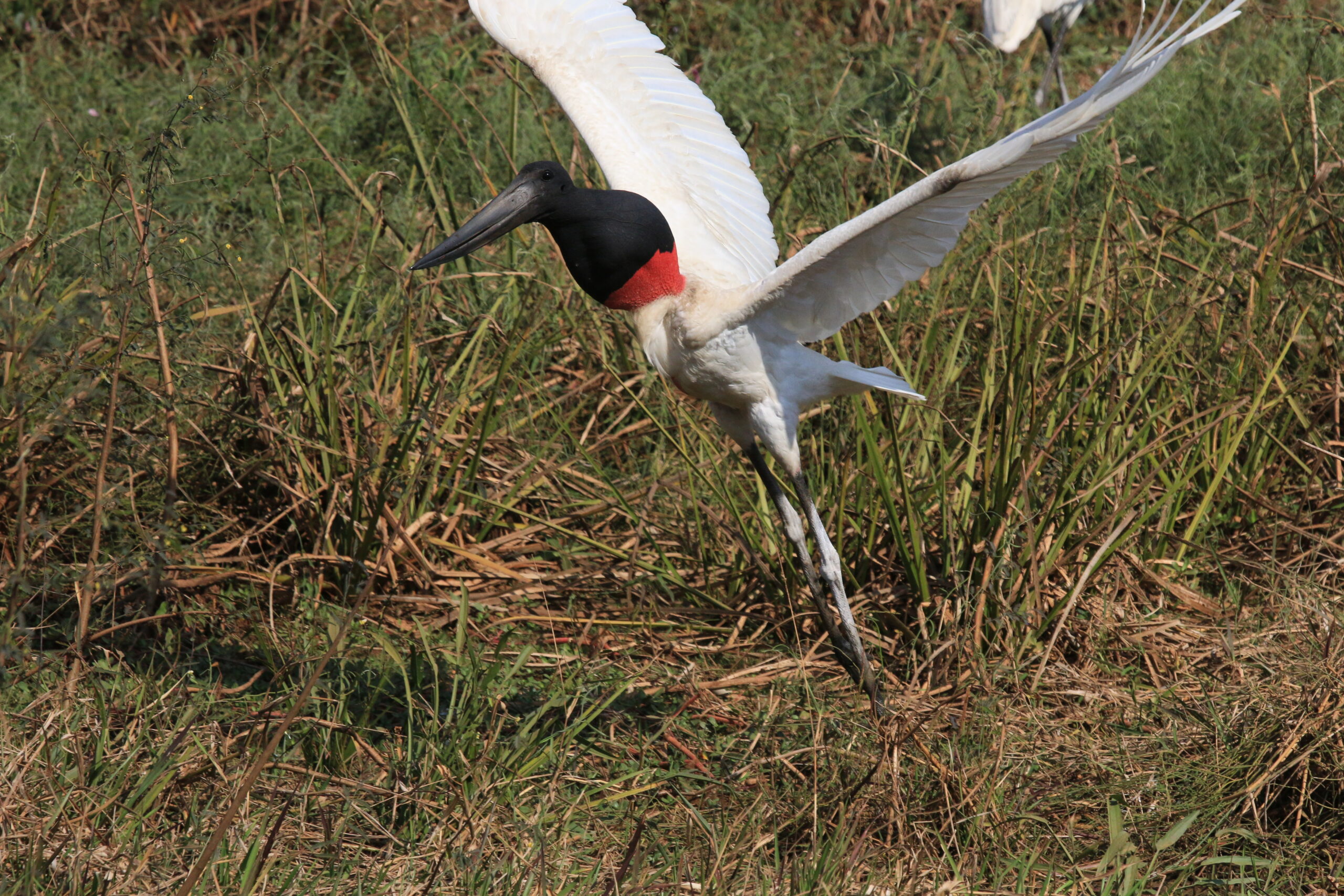 Day 667: September 2, 2025