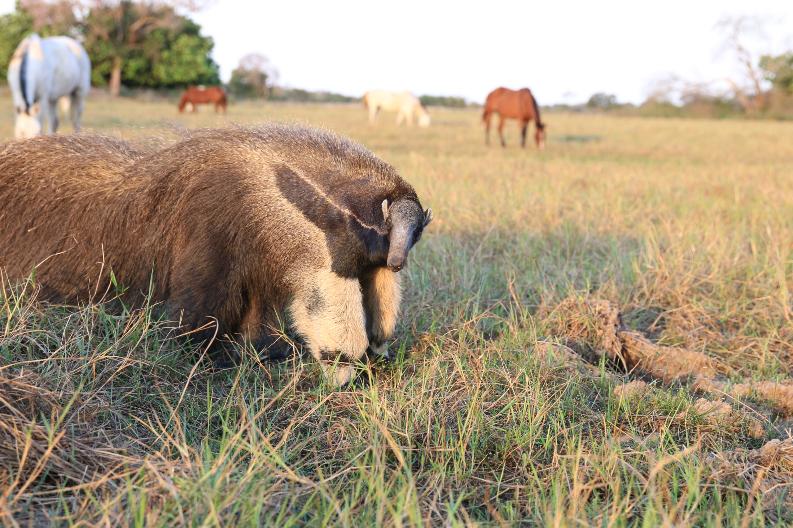 Day 674: September 9, 2025