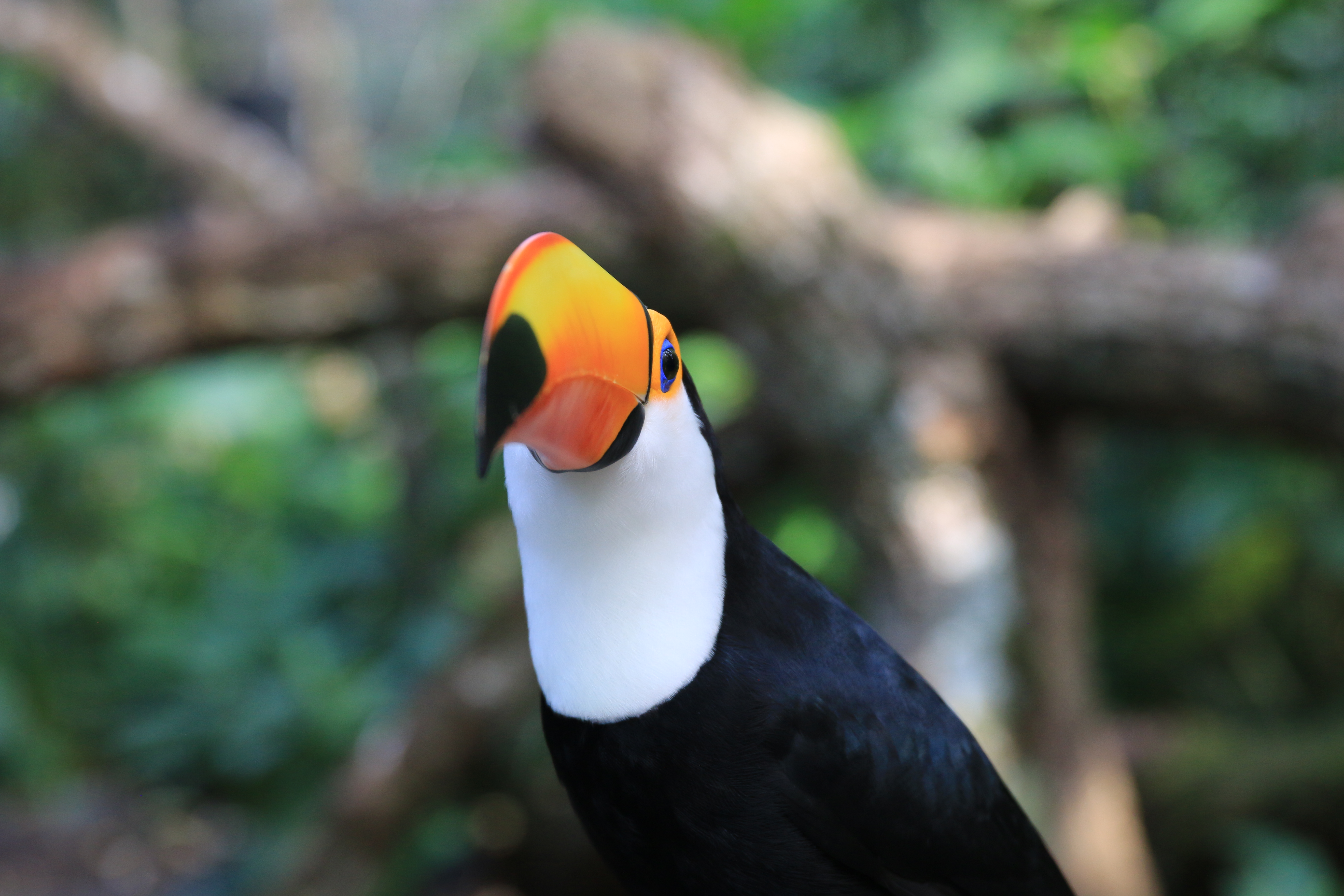 Day 681: September 16, 2025