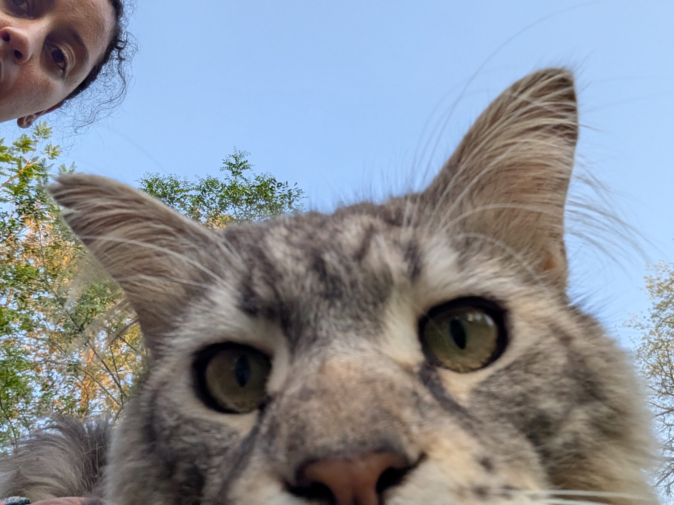 Day 688: September 23, 2025