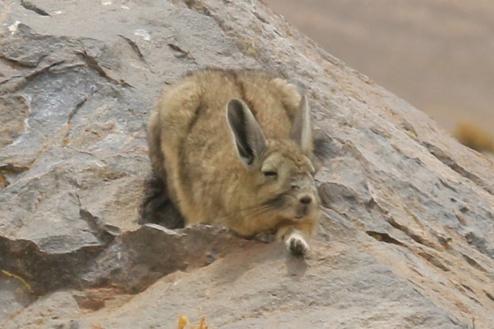 Day 744: November 18, 2025