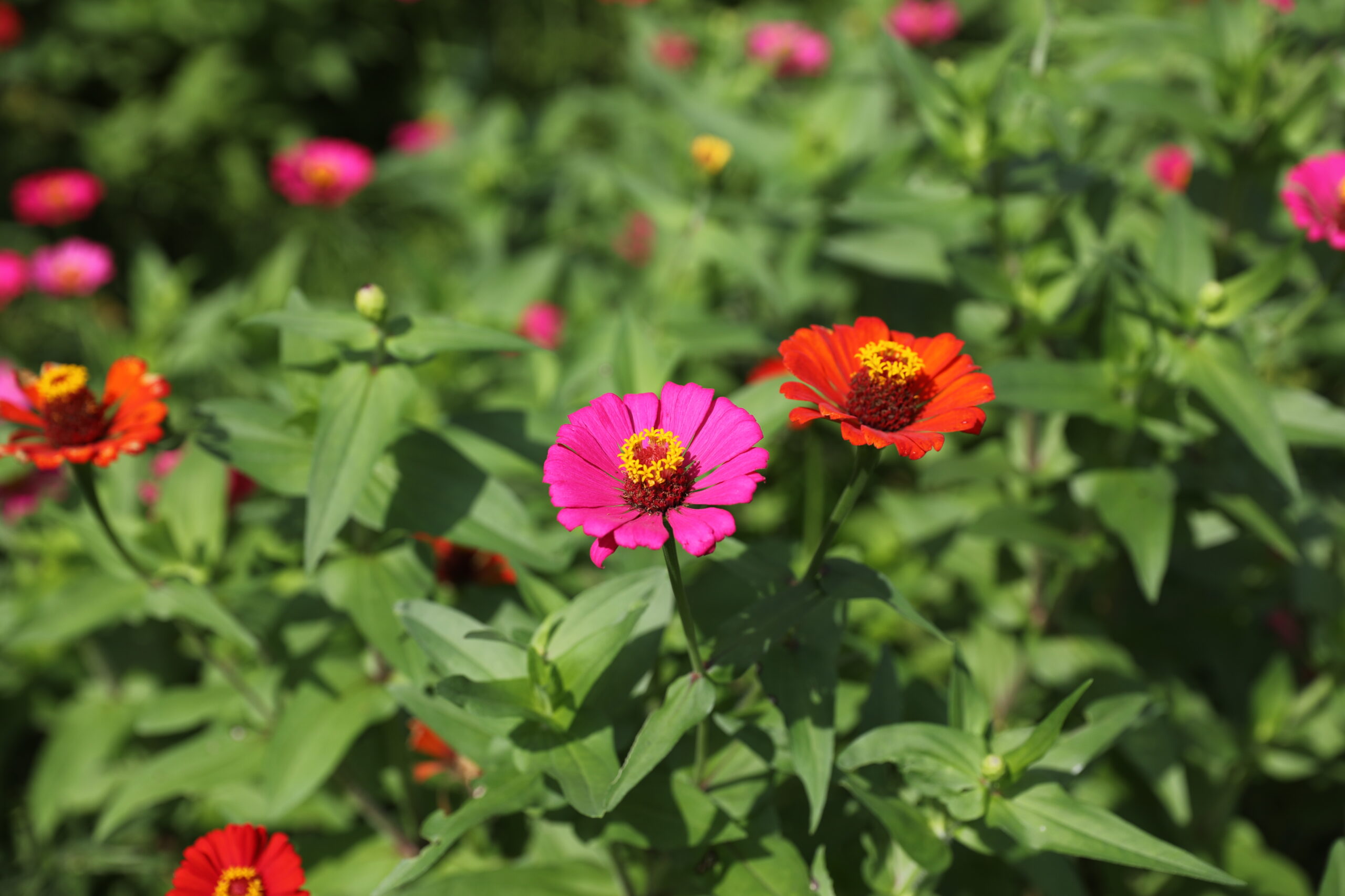 Day 772: December 16, 2025