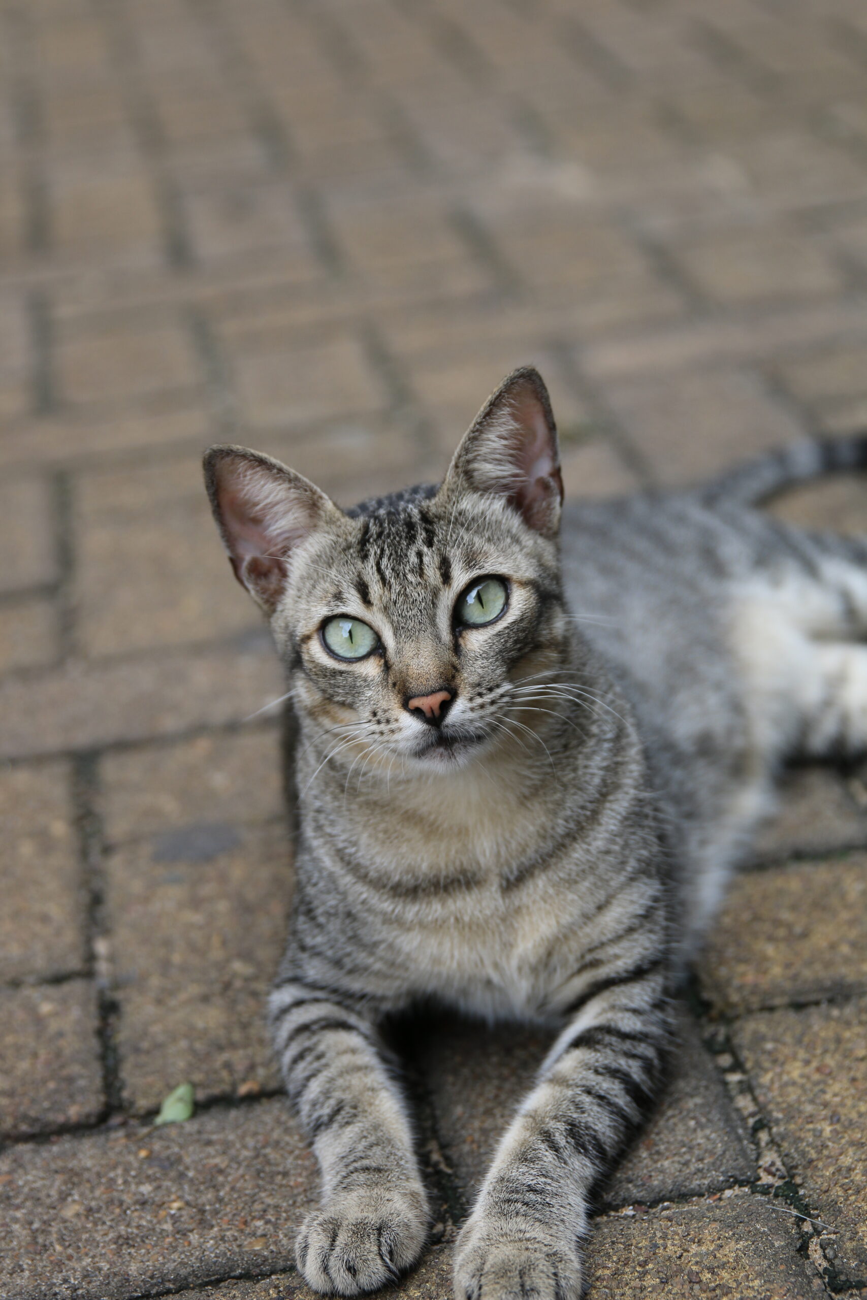 Day 779: December 23, 2025