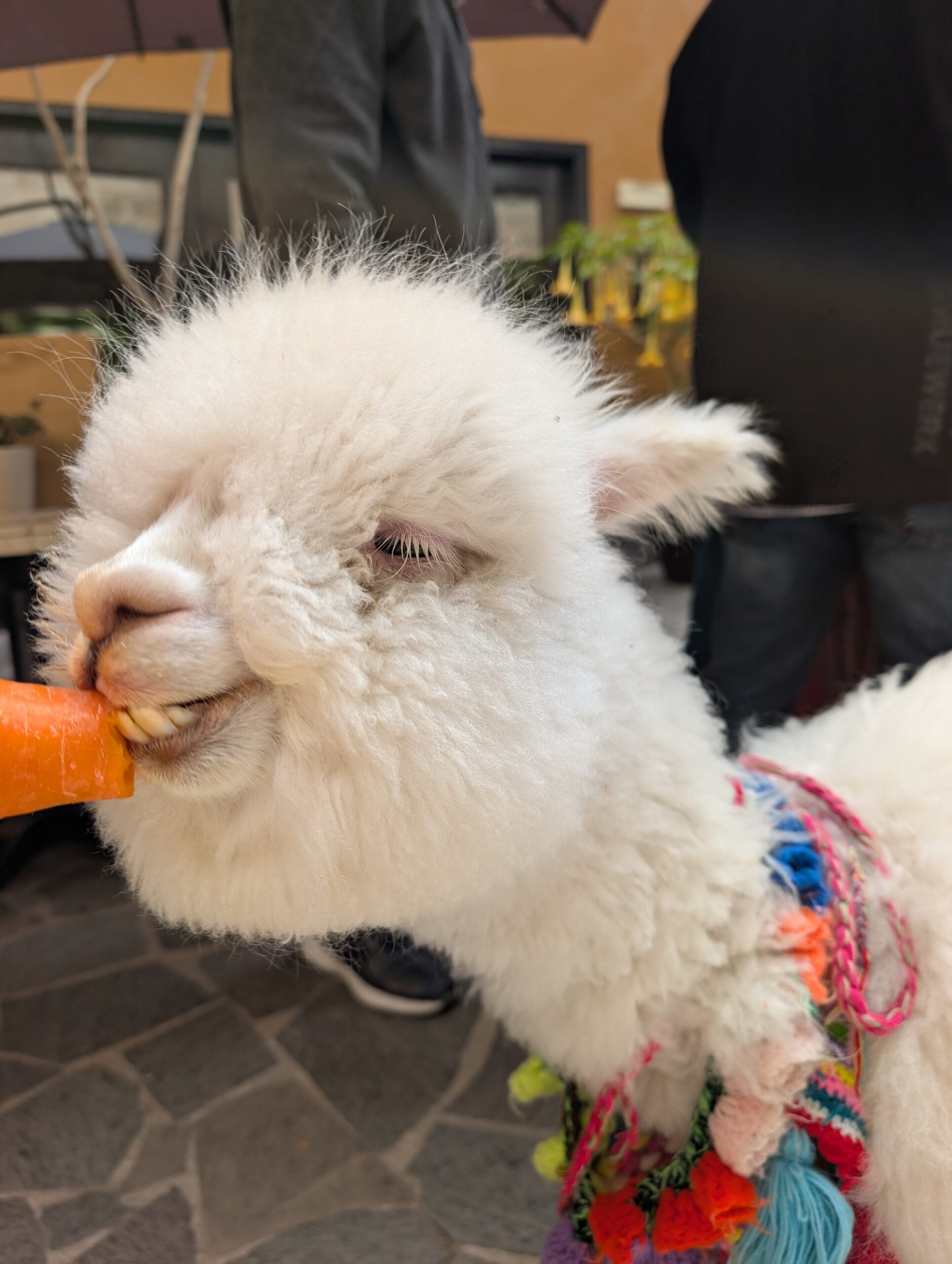 Day 758: December 2, 2025