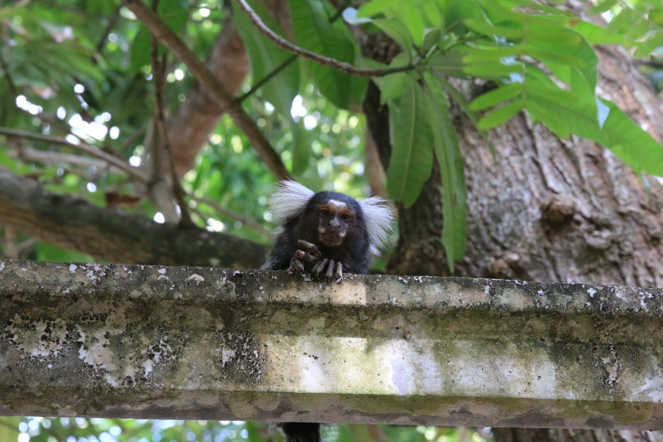 Day 800: January 13,2025