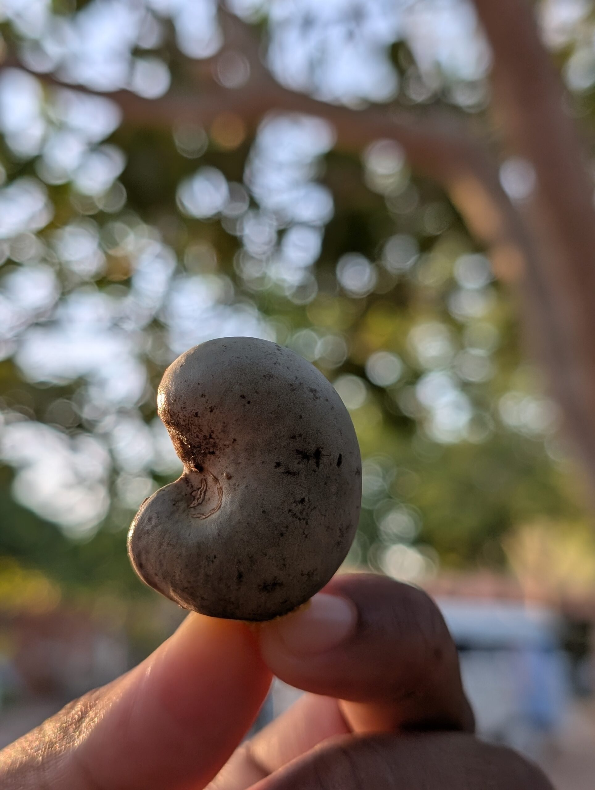 Day 786: December 30, 2025