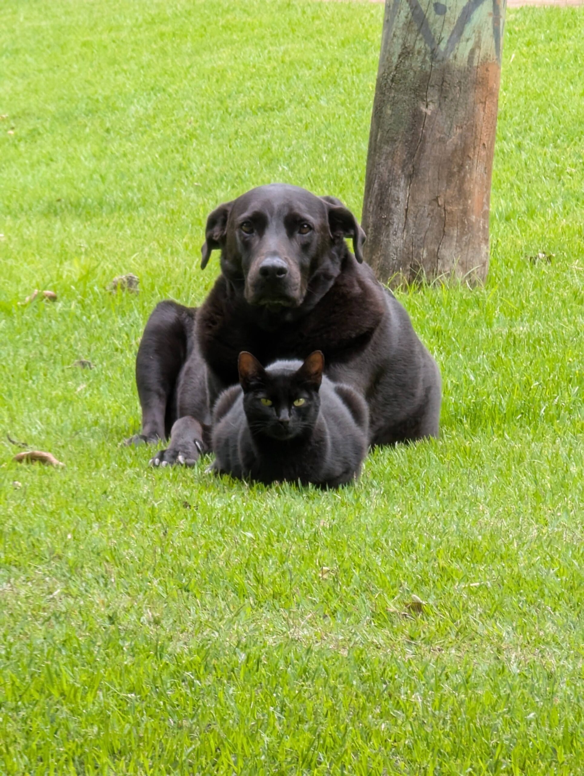 Day 807: January 20, 2026