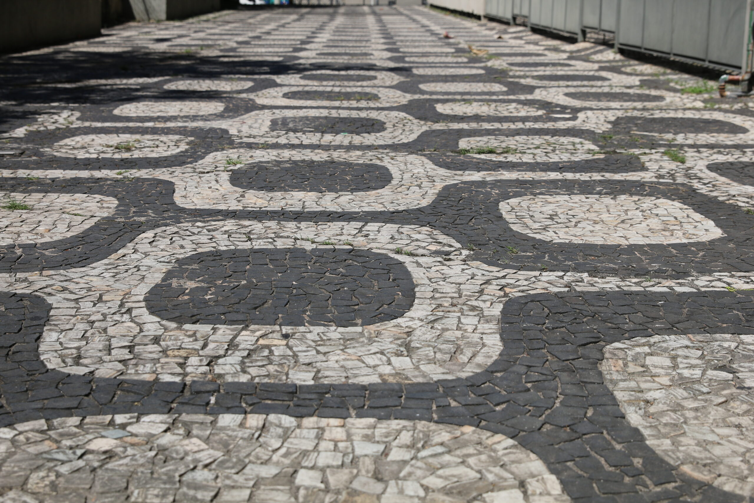 Day 835: February 17, 2025