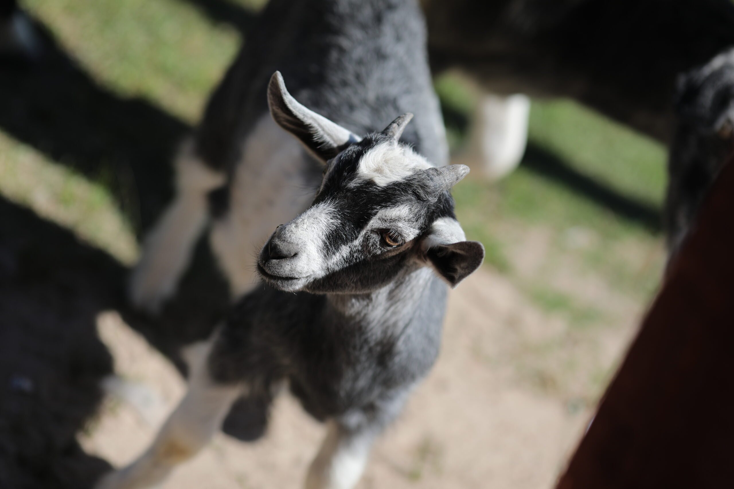 Day 849: March 3, 2026