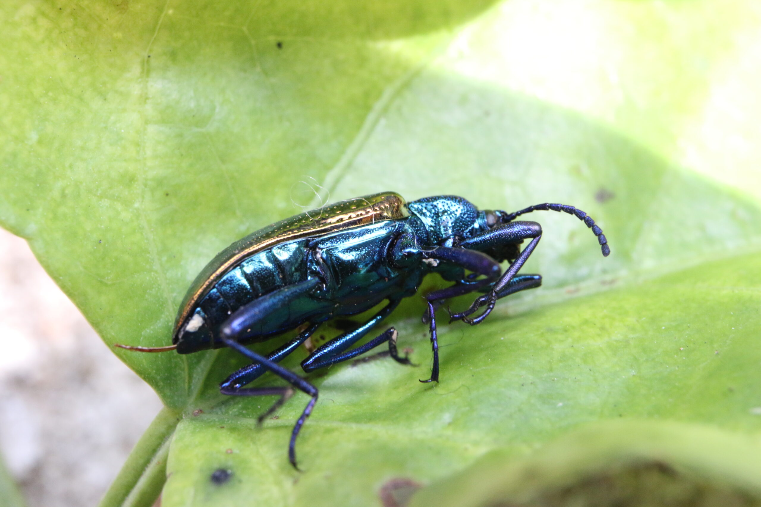 Day 842: February 24, 2026