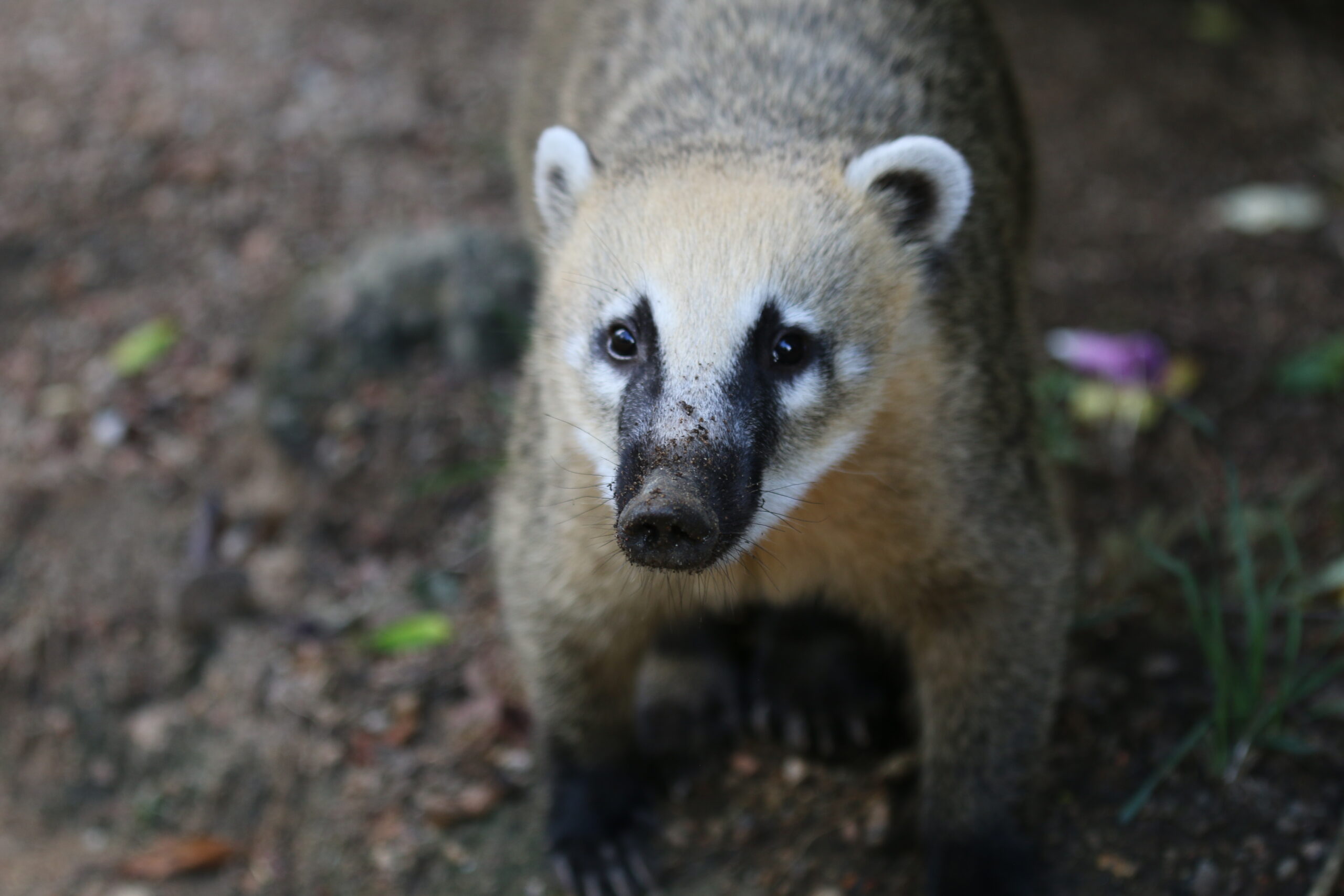 Day 856, March 10,2026