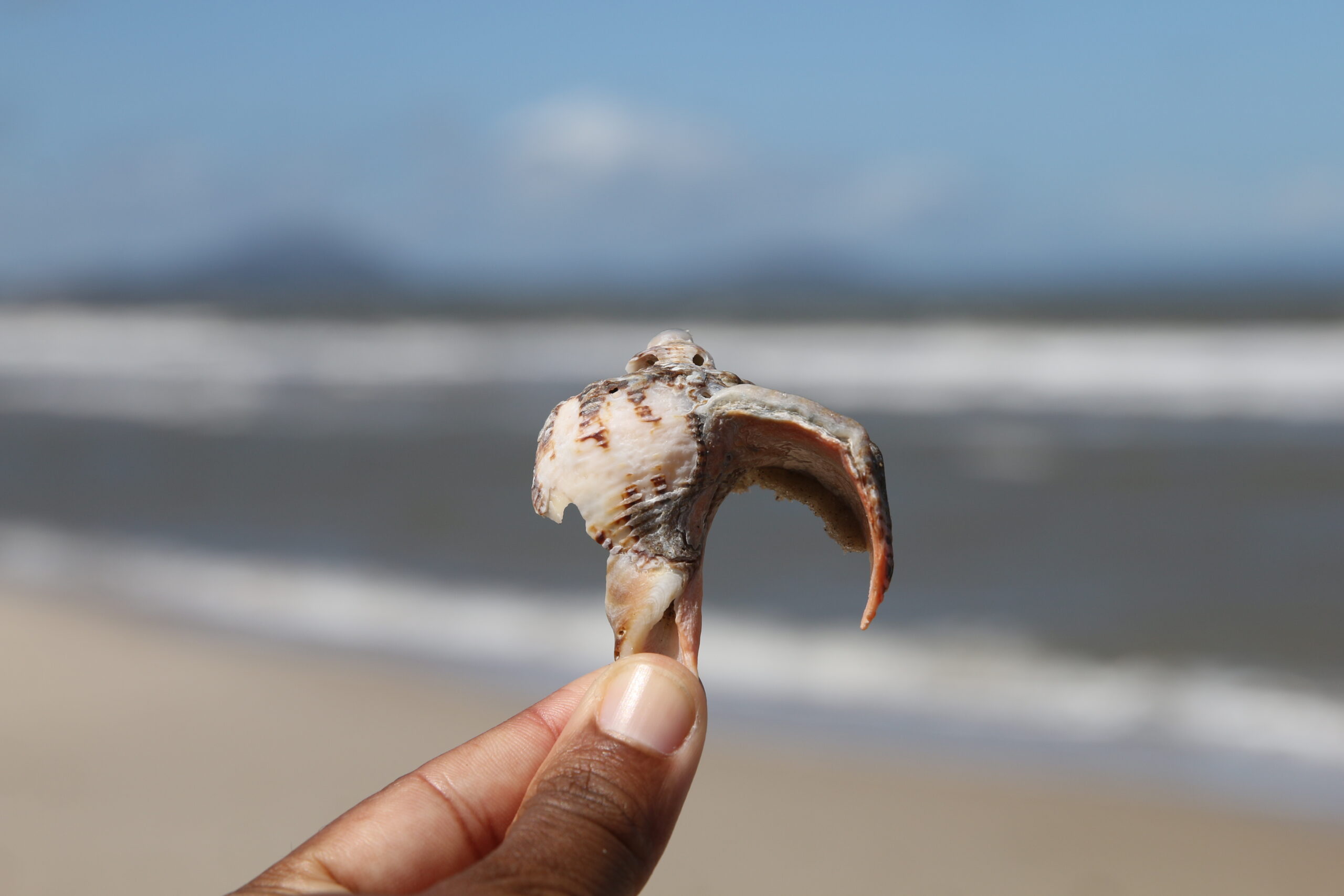 Day 863: March 17, 2026